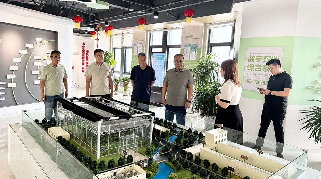 与时偕行 | 地主网络与谷城县进行视频会议